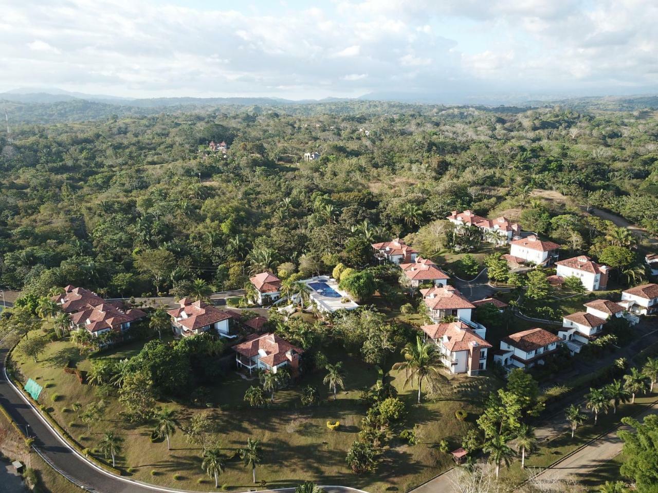 Palm Coast Luxury Rentals 에스테릴로스 에스테 외부 사진