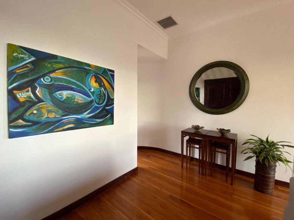 Palm Coast Luxury Rentals 에스테릴로스 에스테 외부 사진